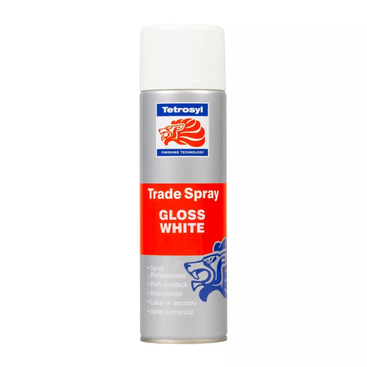 Tetrosyl Gloss White Trade Aerosol Adjustable Nozzle Spray Paint 500mL